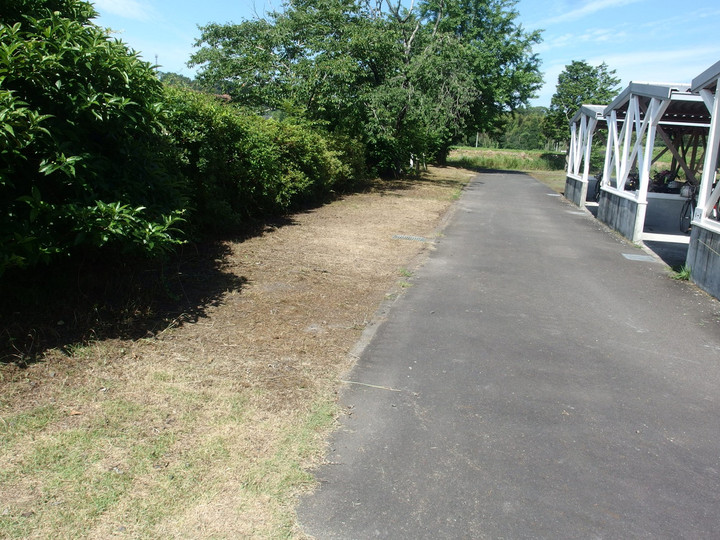 Photo_3