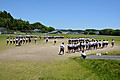 Dsc_7098_2