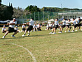 100_0830hen 100_0830hen