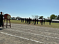 Img_0334 Img_0334